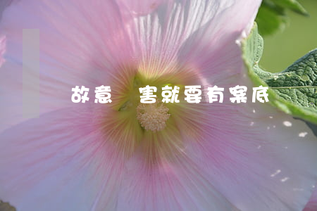 故意傷害就要有案底嗎？